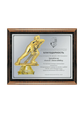 Плакетка подарочная - PL234