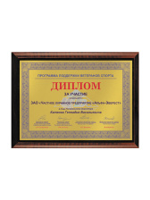 Плакетка подарочная - PL100